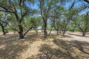 View TBD S Oak Forest Dr Virtual Tour