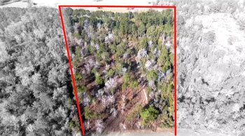 View 11766 Grand N Rd Virtual Tour